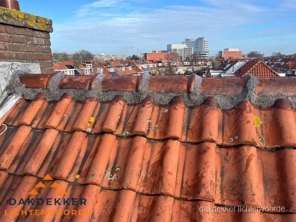 Pannendak met nokvorst en schoorsteen, dakrenovatie in Lichtenvoorde Pannendak met nokvorst en schoorsteen, dakrenovatie in Lichtenvoorde