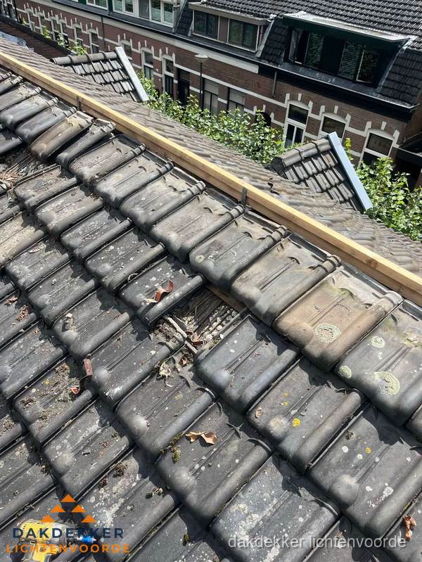 Dakonderhoud aan schuin pannendak met nokvernieuwing in Lichtenvoorde