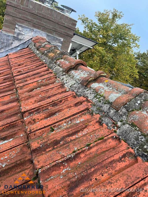 Verweerd hellend dak met mosgroei op nokvorst in Lichtenvoorde Verweerd hellend dak met mosgroei op nokvorst in Lichtenvoorde