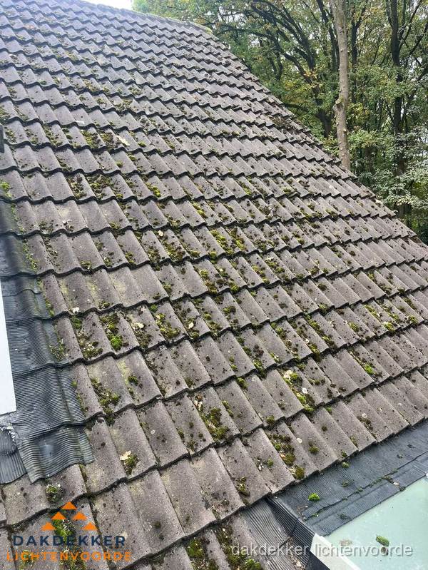 Verweerd pannendak met mosgroei dat renovatie nodig heeft in Lichtenvoorde Verweerd pannendak met mosgroei dat renovatie nodig heeft in Lichtenvoorde