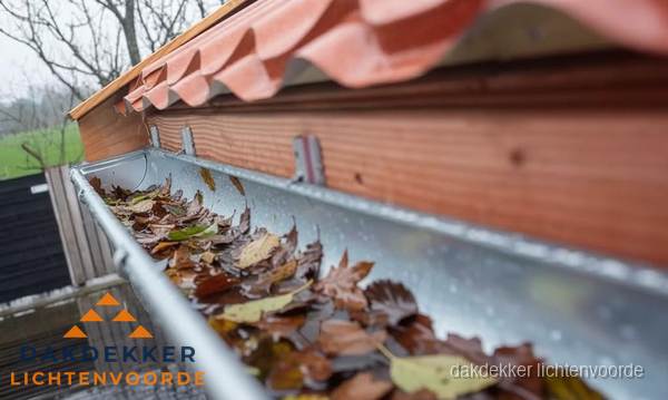 Dakgoot vol bladeren die gereinigd moet worden in Lichtenvoorde Dakgoot vol bladeren die gereinigd moet worden in Lichtenvoorde